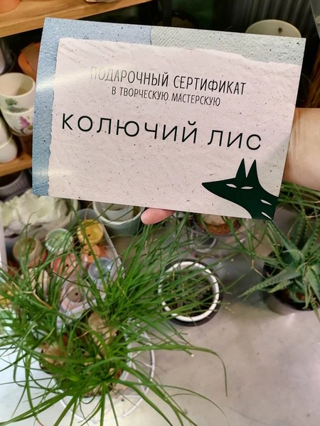 Подарок к празднику