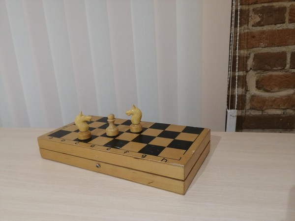 Познавательная программа «Путешествие в страну шахмат»