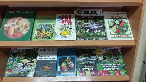 Час полезных советов «Сад моей мечты»