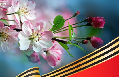 Мы этой памяти верны