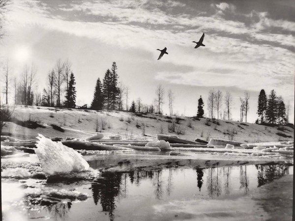 «Весна! И всё опять впервые...»