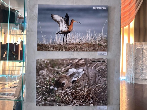 Выставка «Соседи»