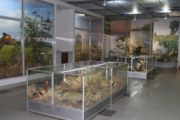 Экскурсия «Погружение в мир природы»