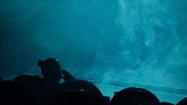 Вишнёвый сад