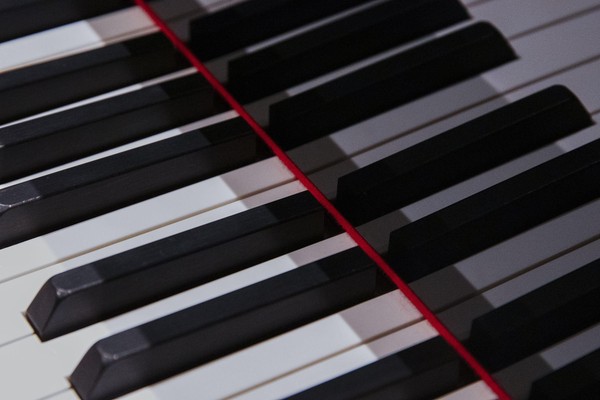 Концерт И. Осиповой и К. Кашунина