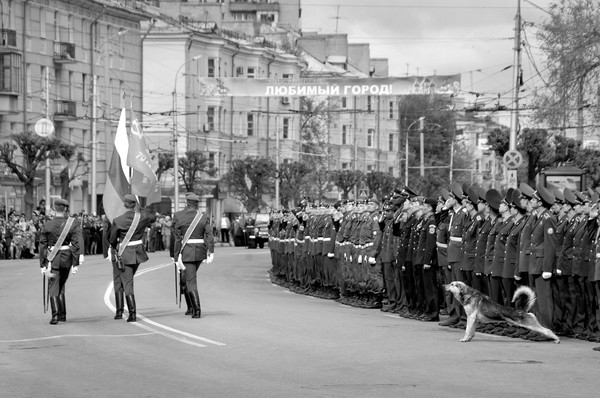 Андрей Павлушин. «Вкус жизни»