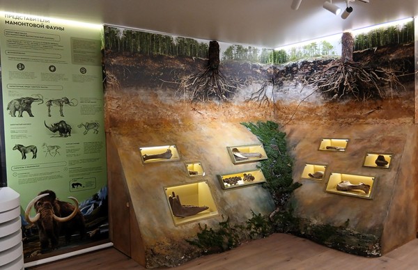 Познавательно-игровая программа «Тайны мамонтовой фауны»