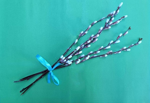 «Пушистая веточка»