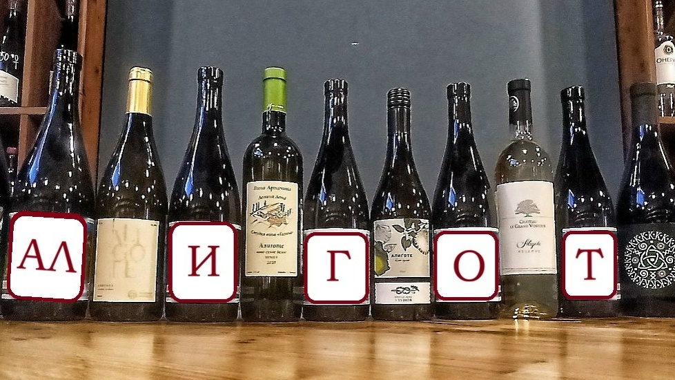 АЛИГОТЕ - интеллигент с характером или "крестьянин" из Бургундии. Премьерная дегустация!