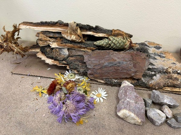 Мастер-класс «Эко-арт: преврати мусор в шедевр»