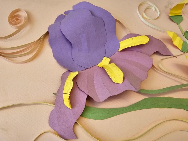 Мастер-класс «Ирис»