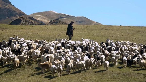 Кинопоказ ко Дню коренных малочисленных народов РФ