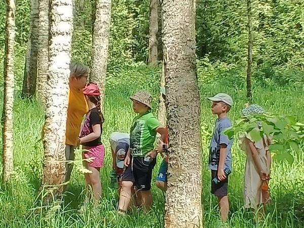 Литературно–познавательная прогулка «Войди в зеленый мир»