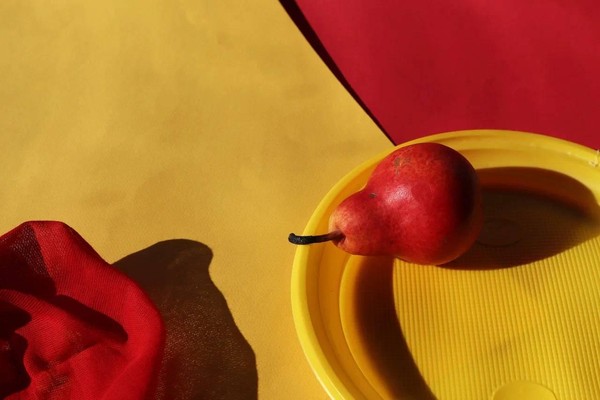 Выставка «Цветотерапия»