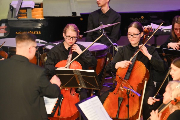 «Виолончелей звук и скрипок вдохновенье...»