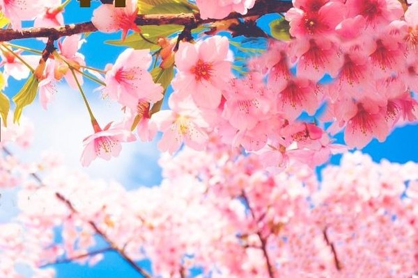 Исторический час «Весна. Труд. Май»