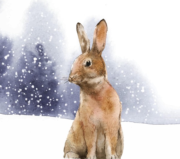 Спектакль «Зайка-зазнайка»