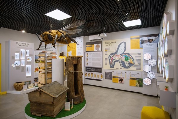 Экскурсия в музей северного пчеловодства