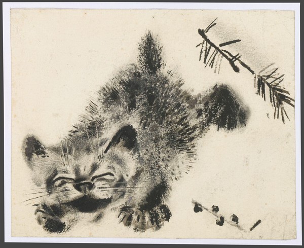 Выставка «По звериным следам»