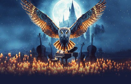 Оркестр при свечах MUSE. Гарри Поттер