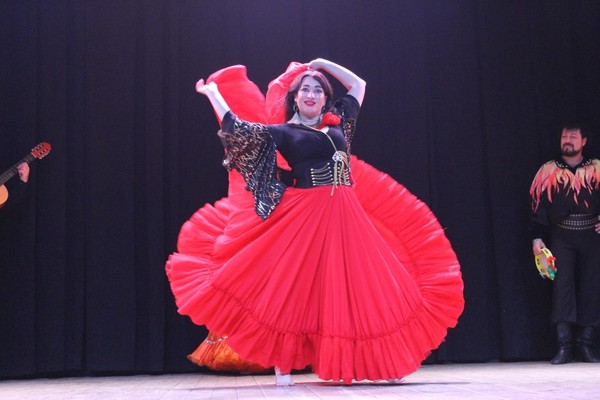 Концертная программа в рамках проведения Праздника «Романы Рота»