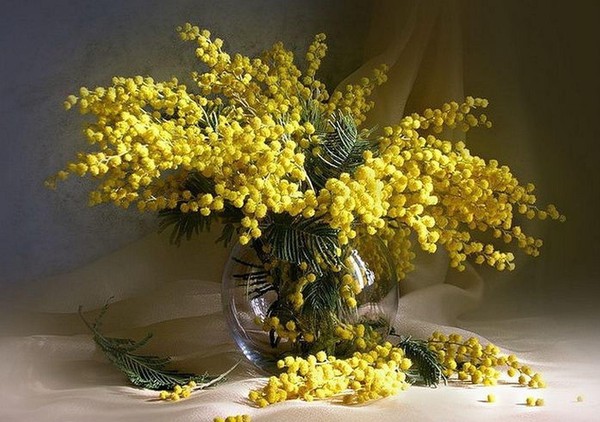 Творческое занятие «Цветочный мир»