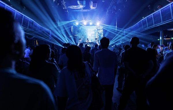 Слоны: 360. Elephant Trunk