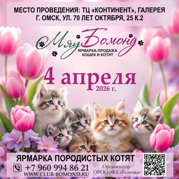 Ярмарка-продажа котят 4 апреля в Континенте