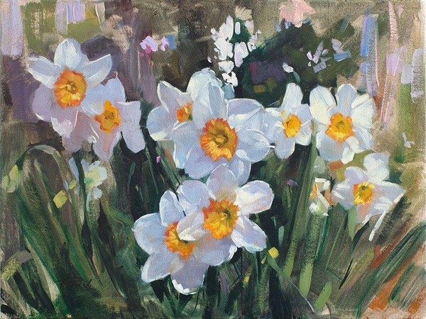 Программа «Похитил прекрасный нарцисс мою душу и мысль»