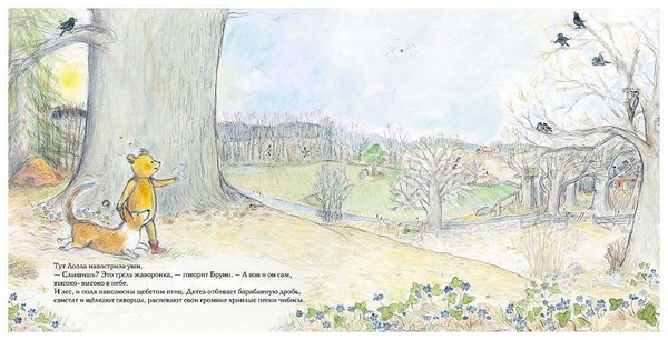 Весенняя сказка с умным мишкой