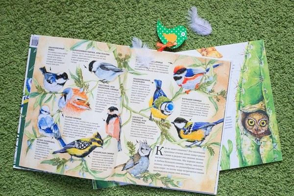 Занятие «Лесной голосок»