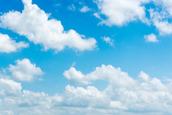 Выставка «Под одним небом»