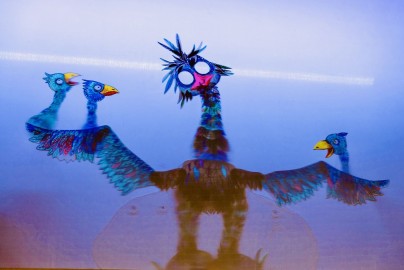 Все, что вы хотели знать о ящерицах, но стеснялись спросить