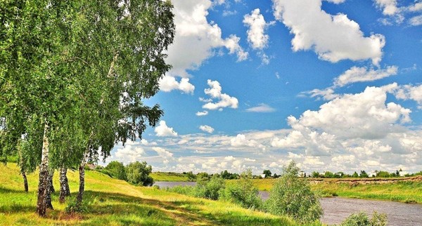 Концерт «Любимый край родной»