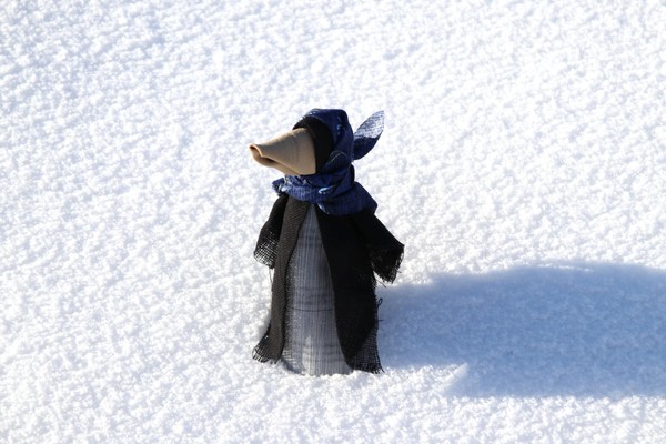 Мастер-класс «Ворона»