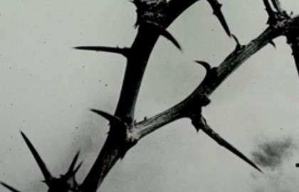 Бах. Страсти по Иоанну