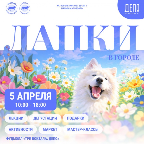 Лапки в городе