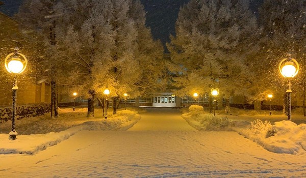Программа «За кулисами дворца»