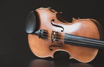 Мастер-класс Шишковой М. В.