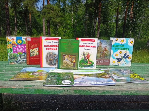 Программа «Чаруса»