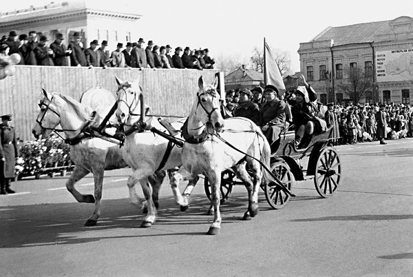 Викторина «Мой Белый город»