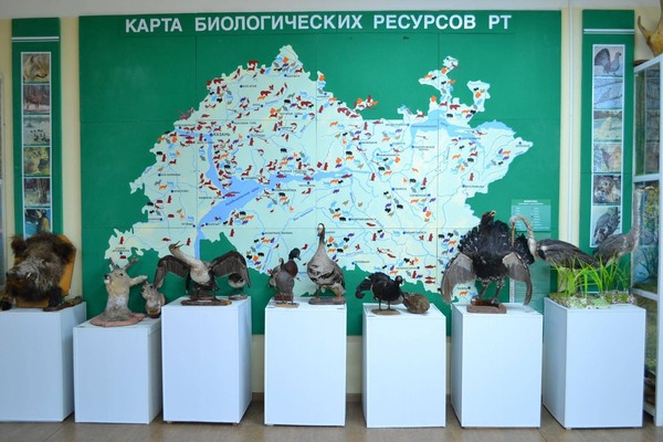 Культурно–образовательное мероприятие «Птицы над сушей и морем»