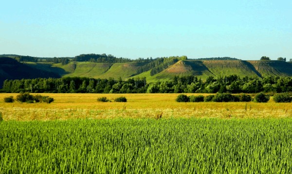 «Башкирия – зеркало души»: онлайн-история из цикла «Народы России, кто вы?»