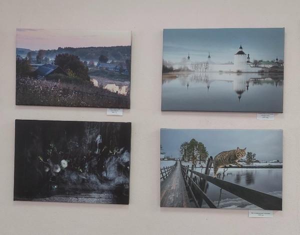 Выставка фоторабот Наталии Колтаковой