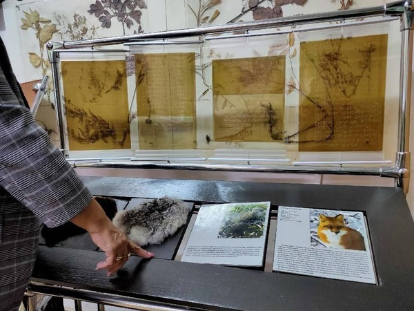 Экскурсия «Познай мир музея»