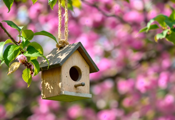 Флешмоб «День скворечника»