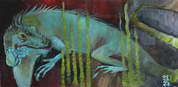 ДНЕВНИК НАБЛЮДЕНИЙ