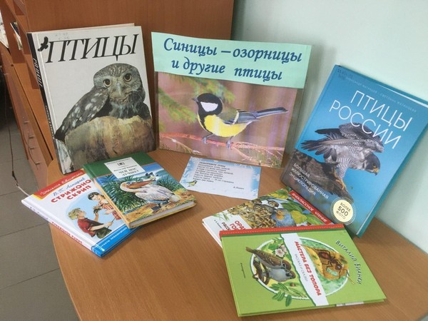 Зоологическое приключение «Синицы- озорницы и другие птицы»