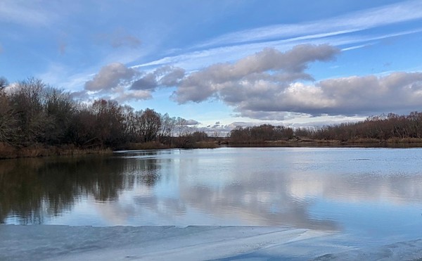 Выставка «Волшебный мир природы»