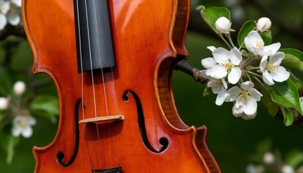 Мелодии весны